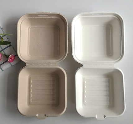 Biodegradable Burger Fast Food Packaging Box Eco Friendly
