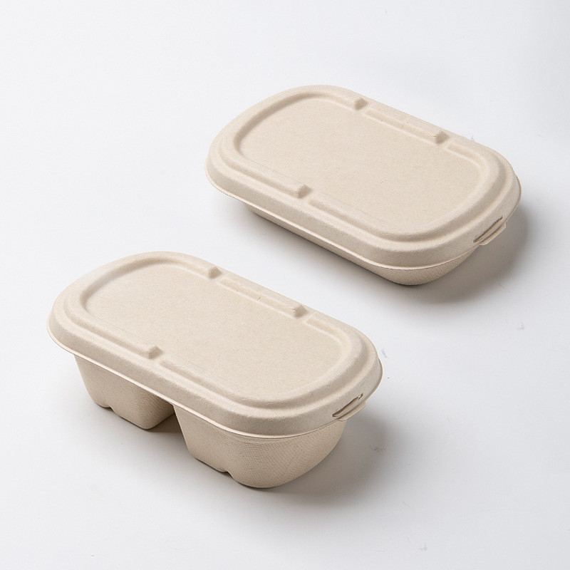 Leak Proof Sugarcane Fiber Pulp Disposable Food Container Biodegradable