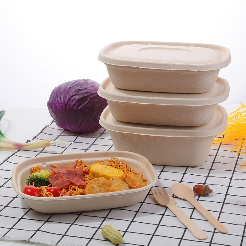 100% Compostable Food Container Sugarcane Lunch Box Bamboo Storage Boxes & Bins Eco-Friendly Multifunction