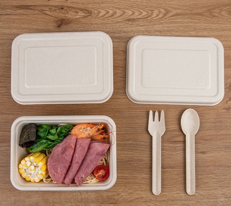 Disposable Lunch Biodegradable Take Away Food Package Container
