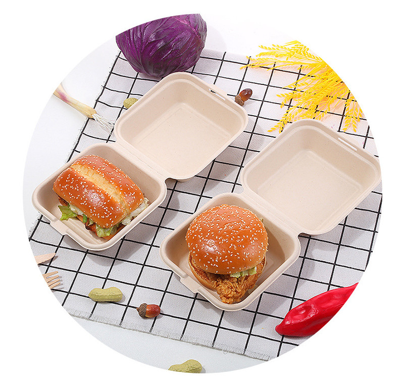 Biodegradable Burger Fast Food Packaging Box Eco Friendly
