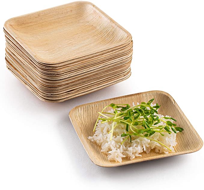 Biodegradable Disposable 10 Inch Square Areca Palm Leaf Plates For
